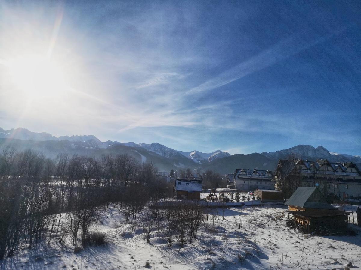 Willa Kozica Zakopane Esterno foto